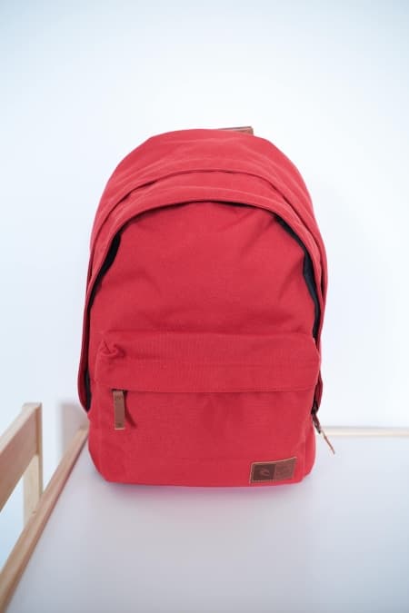 RIP CURL ECHO DOUBLE DOME