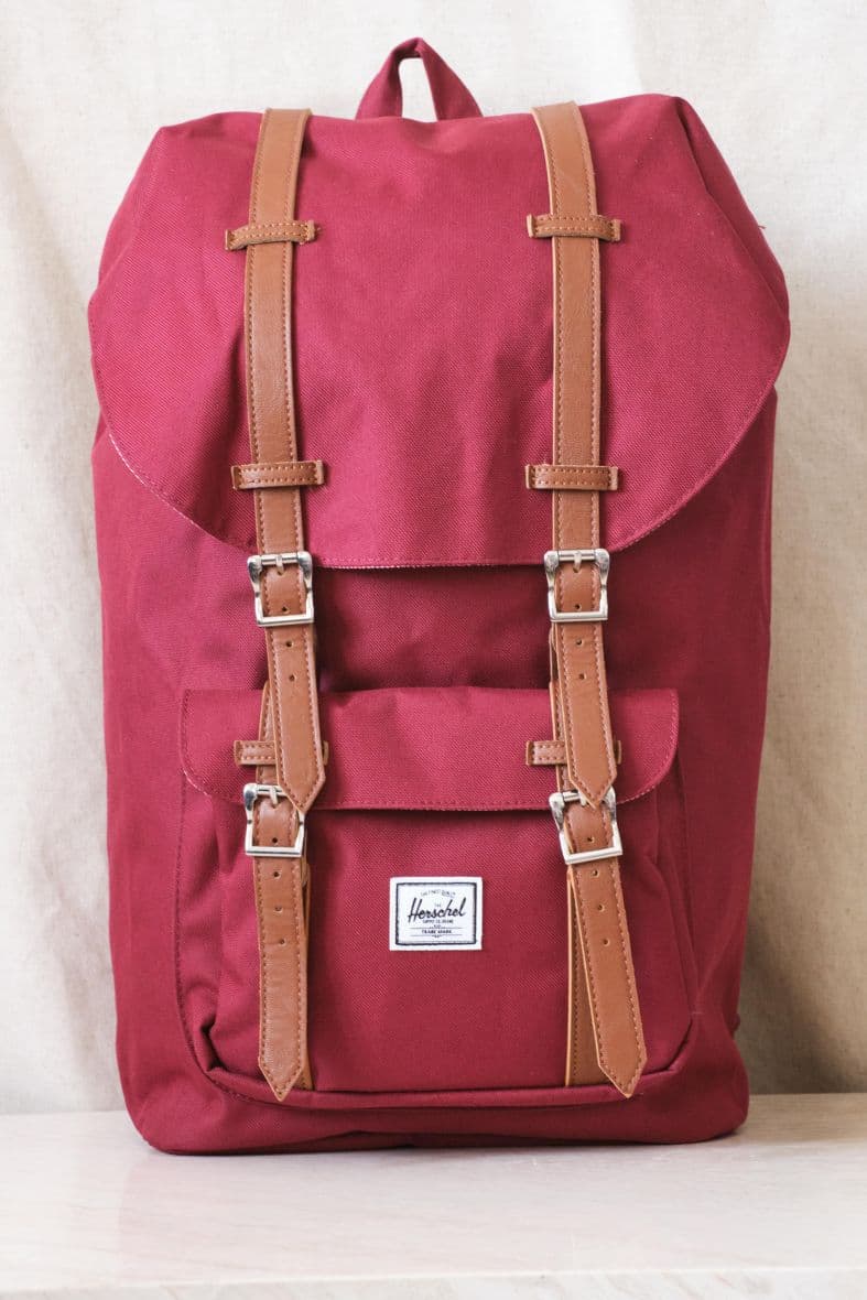HERSCHEL little america — vue 1