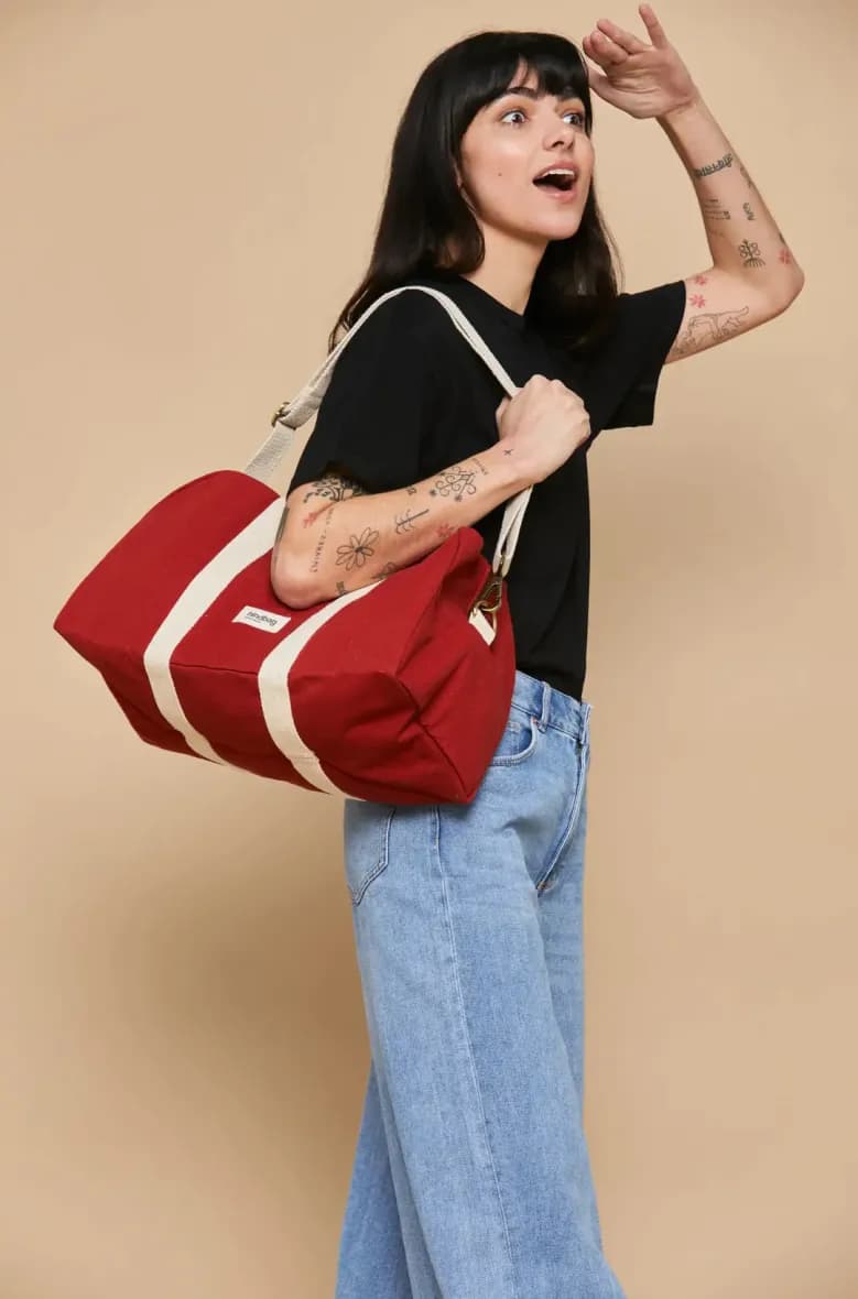 Hindbag Charlie — vue 2