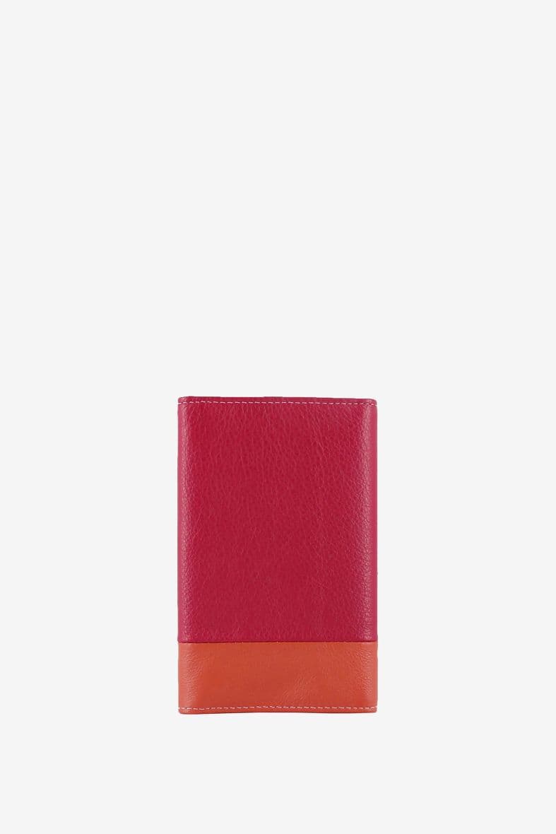 Francinel Cook — vue 5