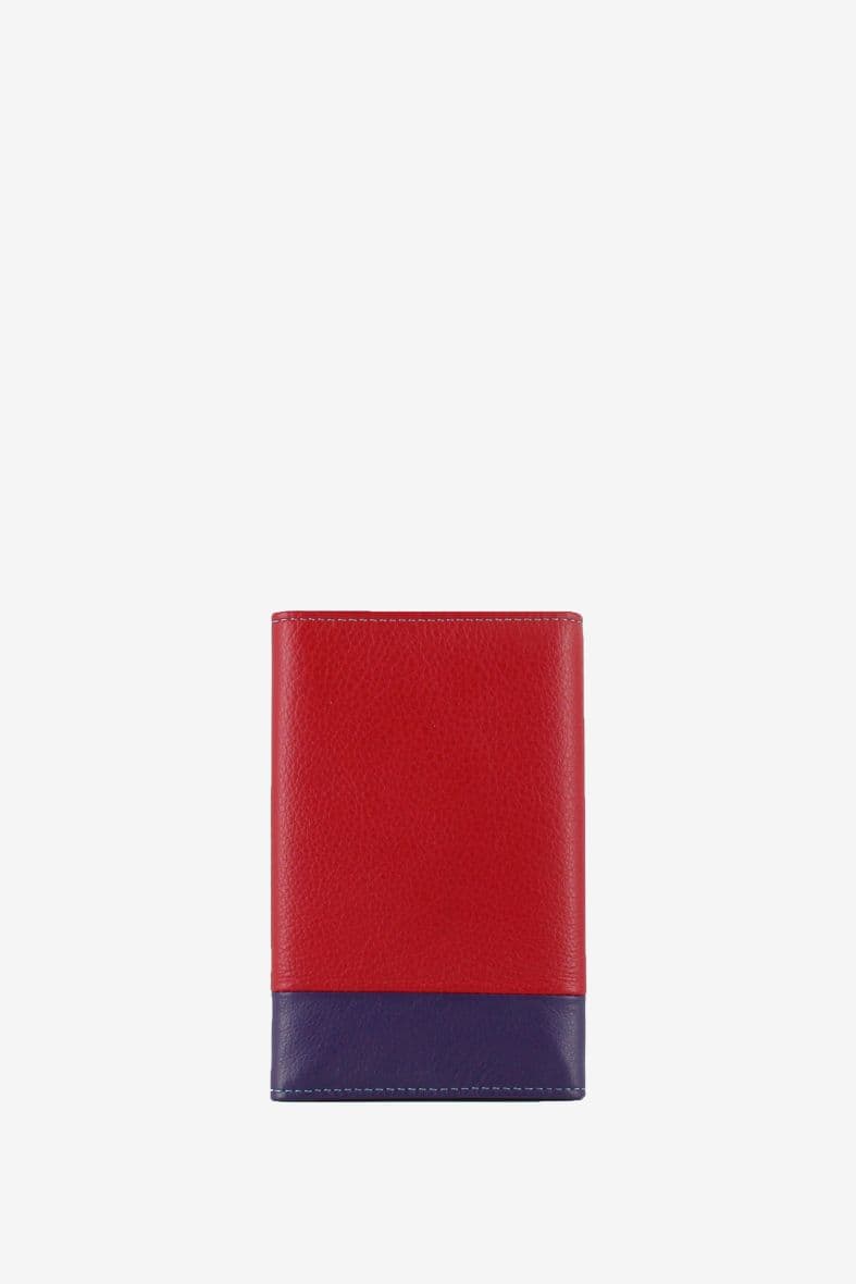 Francinel cook — vue 5