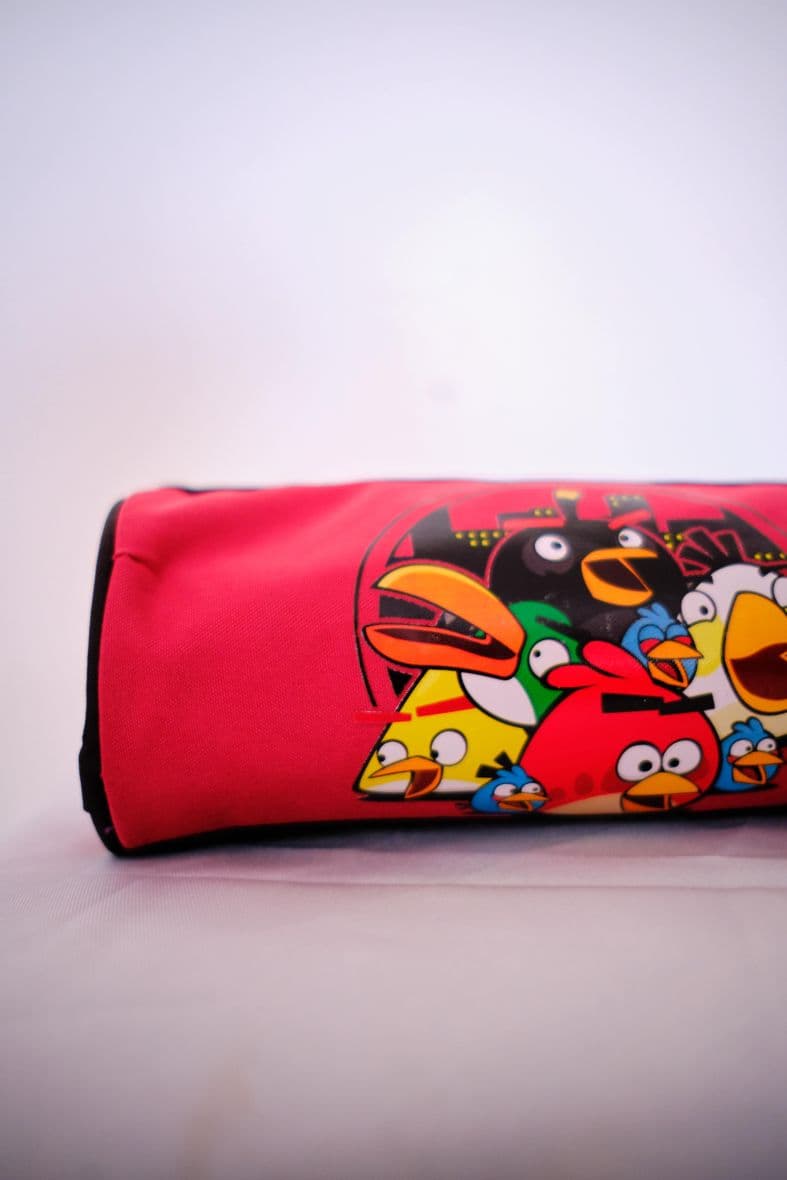 ANGRY BIRD — vue 1