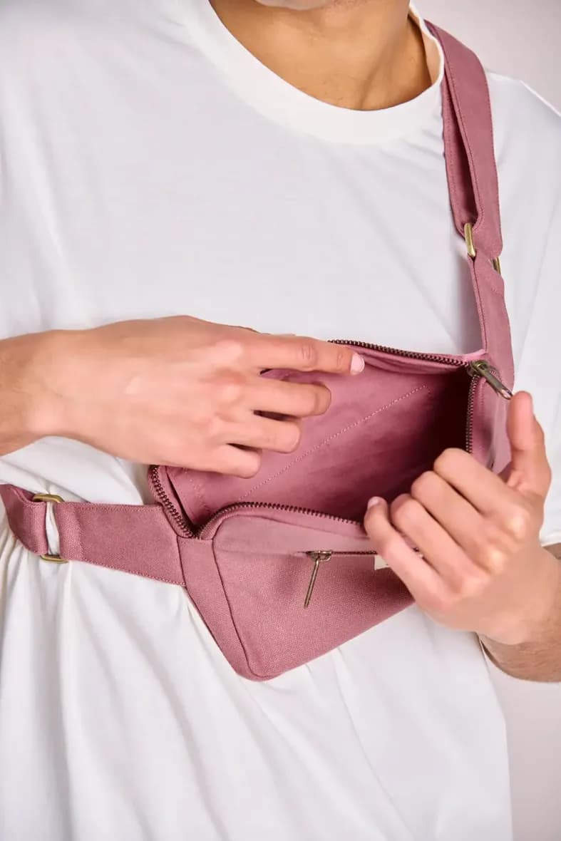 Hindbag Harry — vue 3