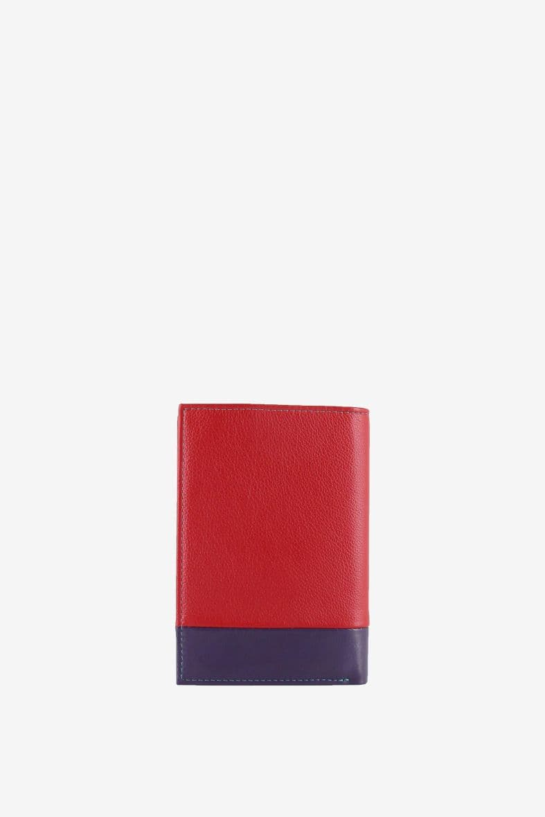 Francinel cook — vue 4
