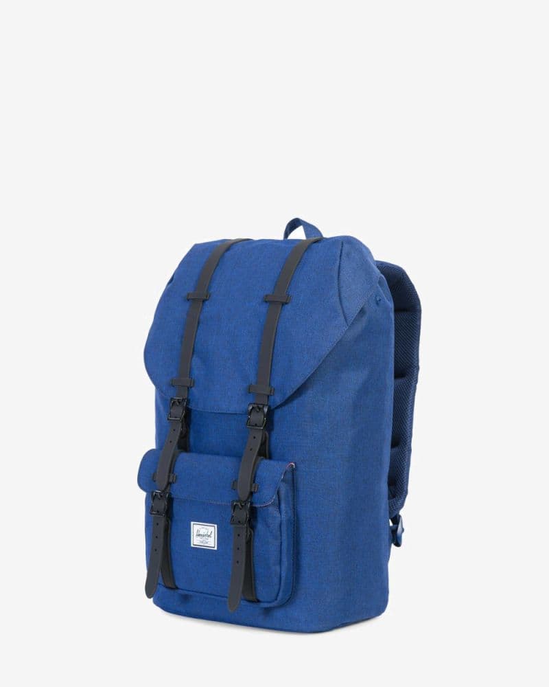 Herchel Little America — vue 2