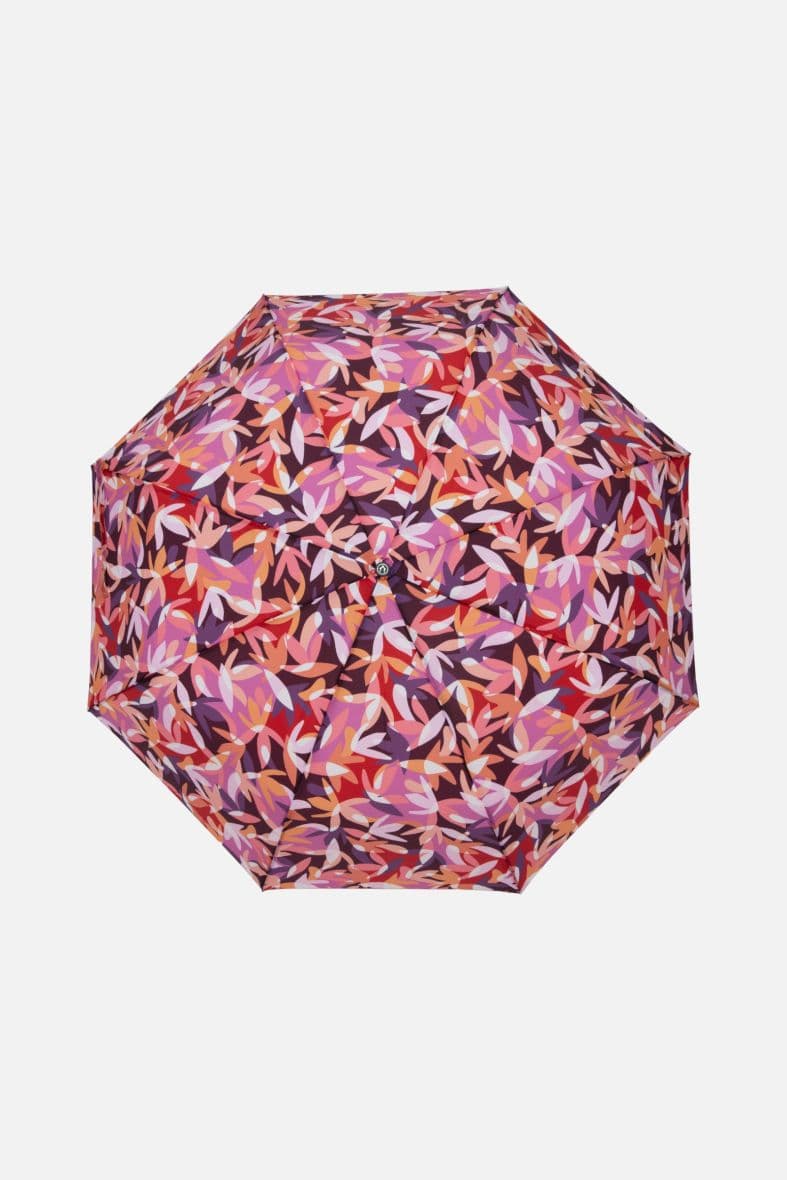 Cabaia umbrella Montreuil — vue 2