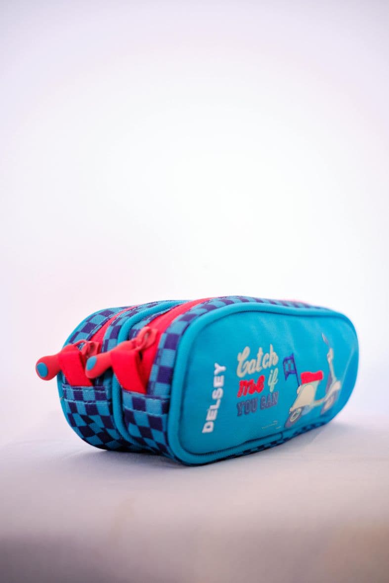 DELSEY — vue 3